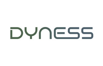 dyness